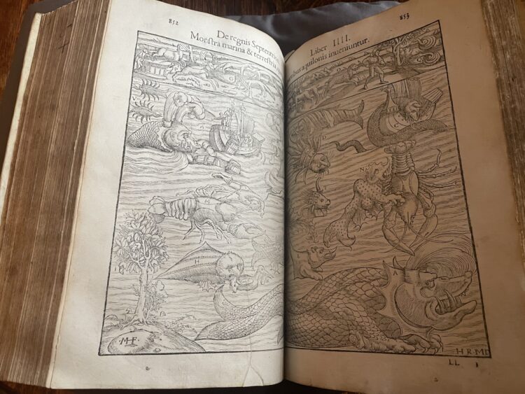 Depiction of sea creatures off the sea from Greenland and Iceland in Fol. G 4.