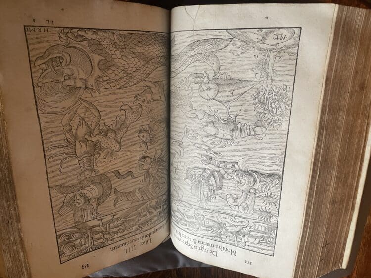 Depiction of sea creatures off the sea from Greenland and Iceland in Fol. G 4.