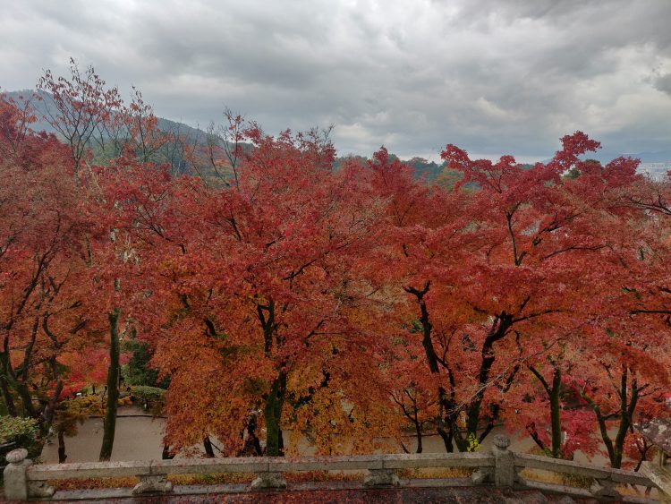 Autumn in Kyoto