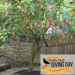 Teddy Hall Giving Day Tree