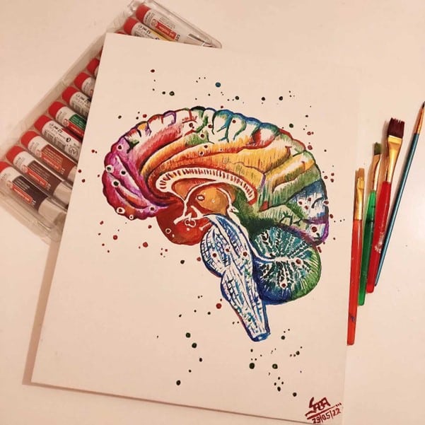 Multicoloured drawing of the brain at the Centre for the Creative Brain event on Saturday 28 May 2022