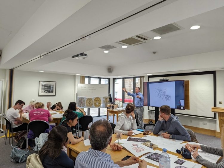 Centre for the Creative Brain audience listening to speaker at 'Drawing the Human Brain' event