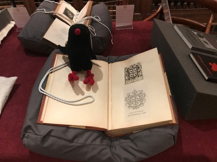 Chough on a book