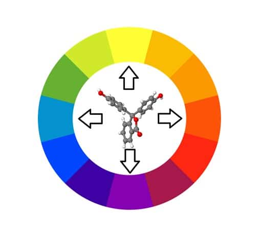 Adapted from colour wheel by Sakurambo