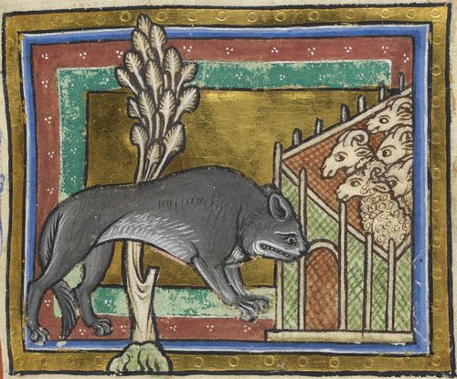 Detail of a miniature of a wolf in a medieval bestiary