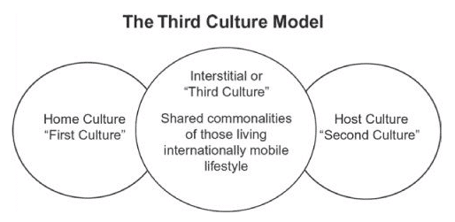 Ed Vyvyan diagram for Geography dissertation The Third Culture Model