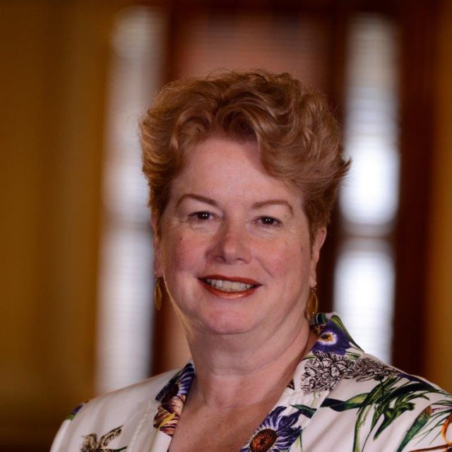 The Hon Justice Elizabeth Hollingworth