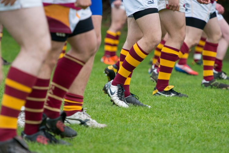 Teddy Hall Rugby Socks