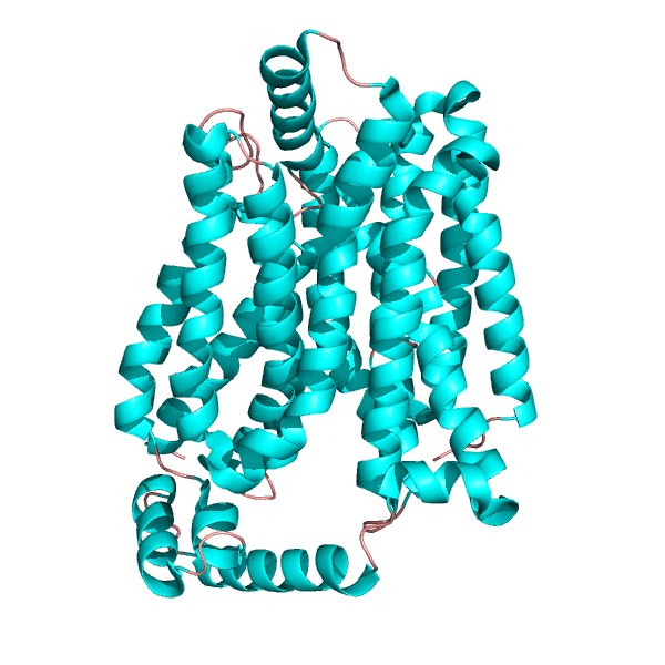 Glucose carrier GLUT-1 Diagram showing glucose carrier GLUT-1