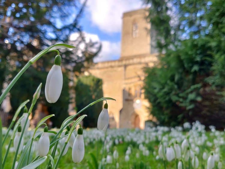View of St Edmund Hall from the library tower Find out more about this year's Telephone Campaign Snowdrops in the College churchyard