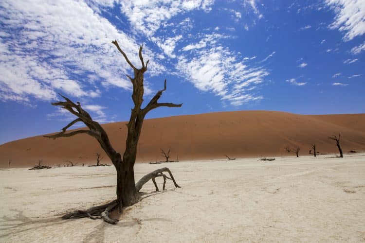 Sossusvlei Africa Sand Deadvlei Namibia Desert for Callum Munday's blog post