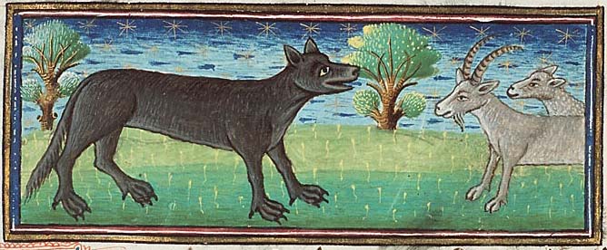Illustration of a wolf from Museum Meermanno, MMW, 10 B 25, Folio 14v