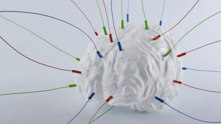 Rewiring the Brain visual