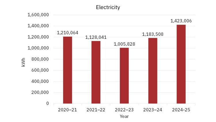 SEH Electricity 2025