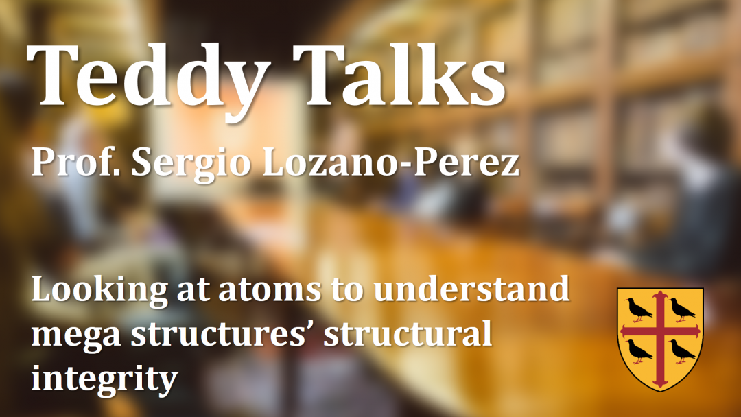 Sergio Lozano-Perez - Teddy Talk on the structural integrity of mega structures