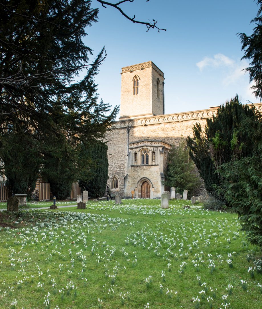 St Peter-in-the-East and its graveyard carpeted with snowdrops