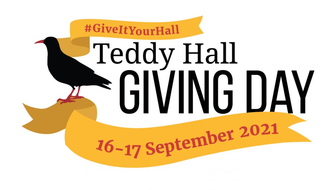 Teddy Hal Giving Day 2021