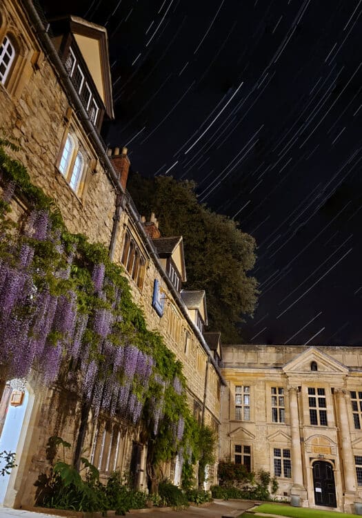 Wisteria under the stars