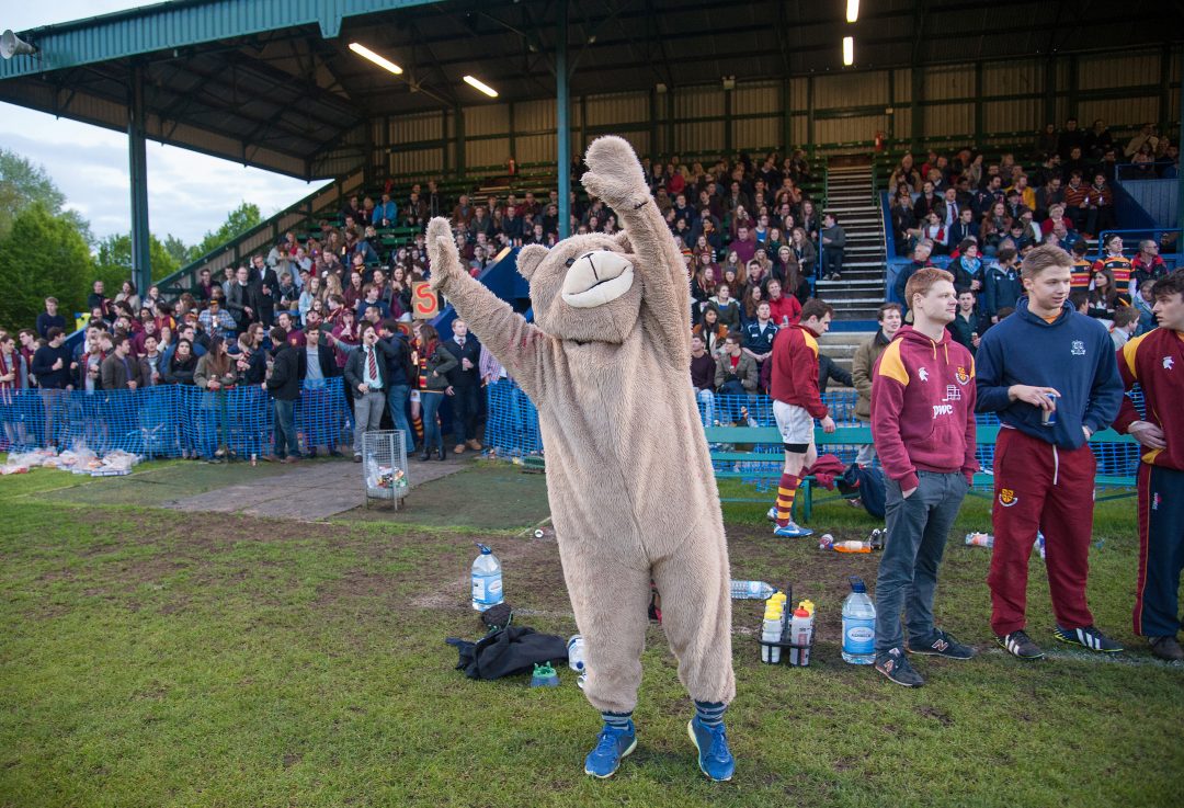 Teddy mascot supporting the College team at the rugby finals