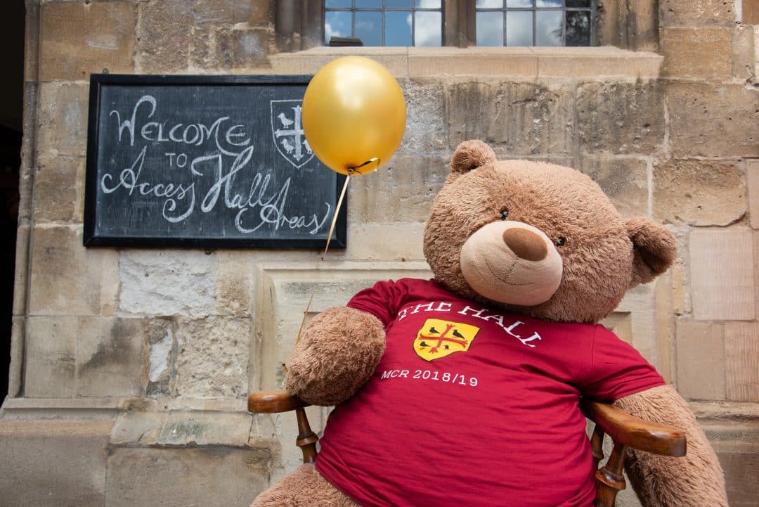 welcome teddy