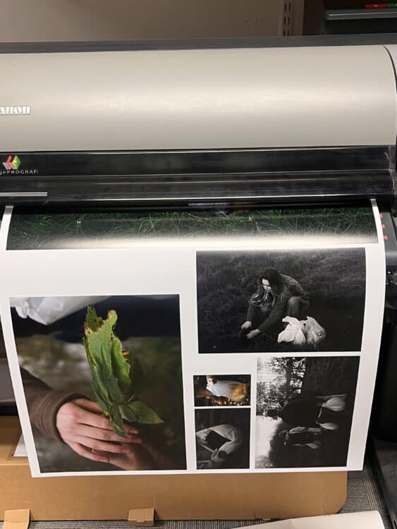 Week 6 Printing photos of an autumn walk on the Ruskin School of Art's large format printer