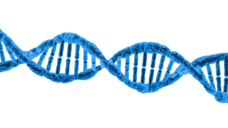 A computer-generated image of a DNA double-helix
