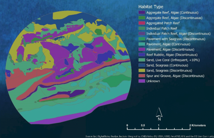 A map of the different habitat types in the juvenlie reefs in Flordia Keys. Taken from Emily Thwaites's dissertation