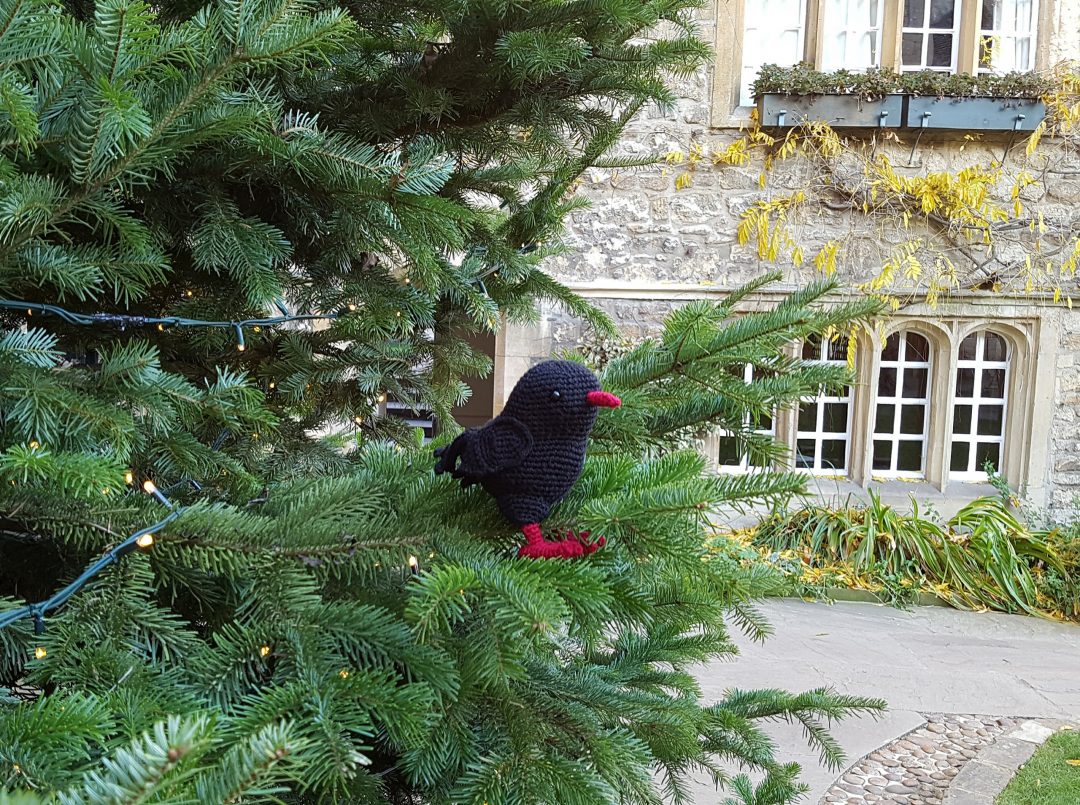 A crochet chough in a Christmas tree in the Front Quad at St Edmund Hall