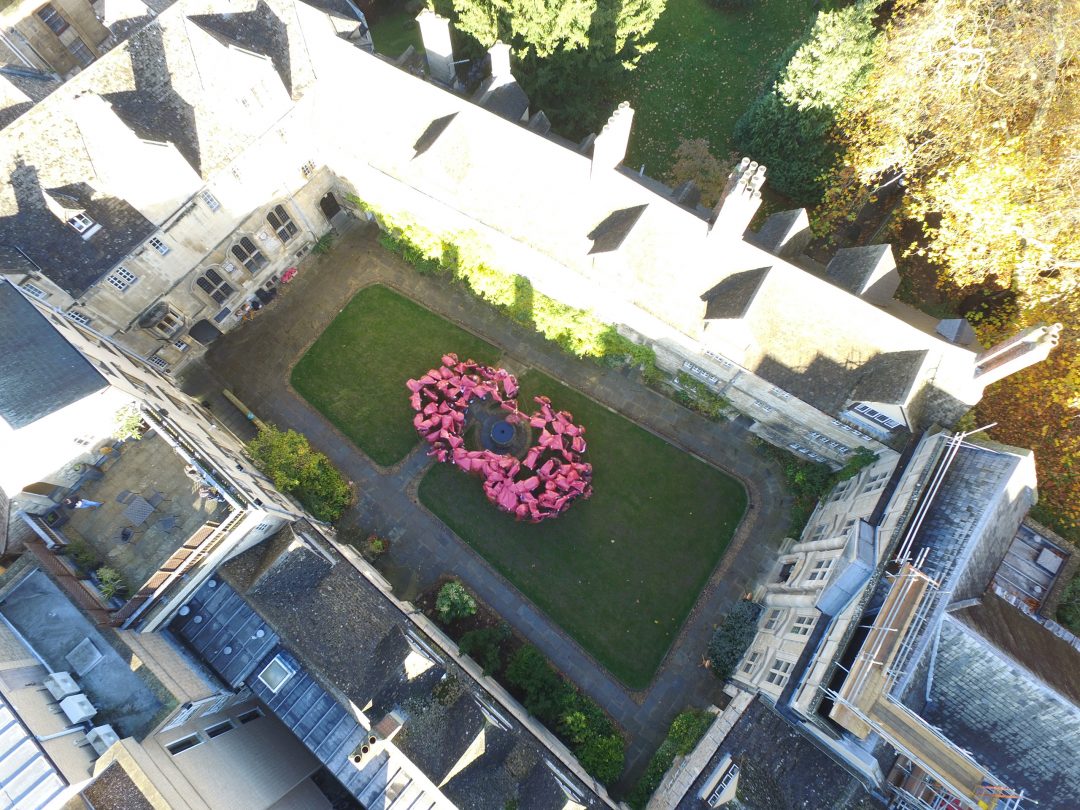 Members of the College community form a poppy shape in the Front Quad