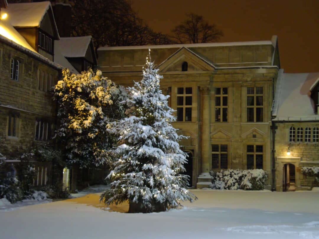 Xmas tree in the snow